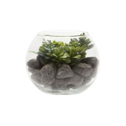 Planta-Artificial-Bonsai-Selva-Mini-12-10Cm-Vidrio----------