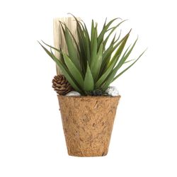 Planta-Artificial-Bonsai-Suculenta-8-19Cm-Fibra-Coco--------