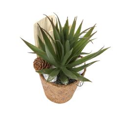 Planta-Artificial-Bonsai-Suculenta-8-19Cm-Fibra-Coco--------