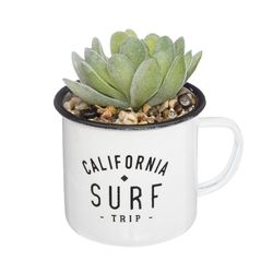 Planta-Artificial-California-Surf-7.6-10.5cm