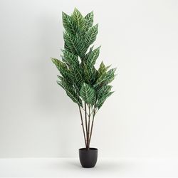 Planta-Artificial-Alta-Dieffenbachia-100Cm-Negro-Verde