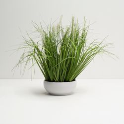 Planta-Artificial-Arreglo-Grass-38Cm-Blanco