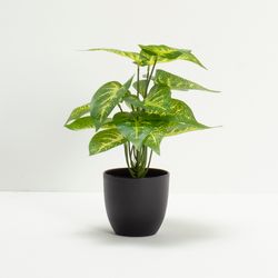 Planta-Artificial-Greenery-Surt-30Cm-Negro
