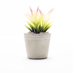 Planta-Artificial-Bonsai-Aloe-8-7Cm