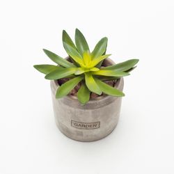 Planta-Artificial-Bonsai-Suculenta-11-9Cm