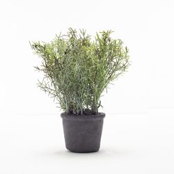 Planta-Artificial-Bonsai-S-Iris-8-20Cm-Negro