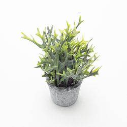 Planta-Artificial-Bonsai-S-Romero-8-20Cm