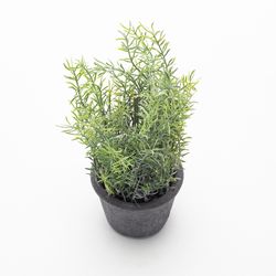 Planta-Artificial-Bonsai-M-Iris-10-25Cm-Negro