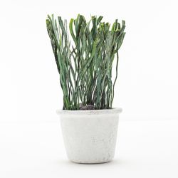 Planta-Artificial-Bonsai-M-Palma-10-25Cm