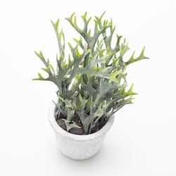 Planta-Artificial-Bonsai-M-Romero-10-25Cm