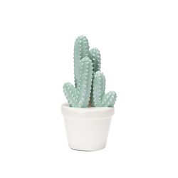 Figura-Cactus-Blanco-Verde