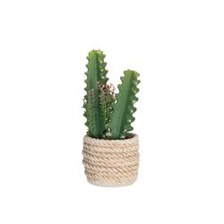 Planta-Artificial-Cactus-Beige