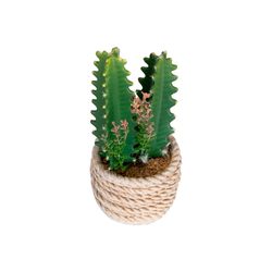Planta-Artificial-Cactus-Beige