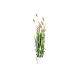 Planta-Artificial-Grass-42Cm-Blanco-Marron