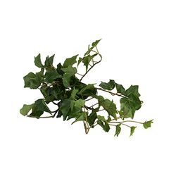 Flor-Artificial-Ivy-45Cm-Plastico-Verde---------------------
