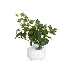 Flor-Artificial-Ivy-45Cm-Plastico-Verde---------------------
